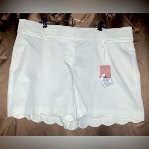 Lane Bryant Shorts | Scalloped Shorts | Size 20